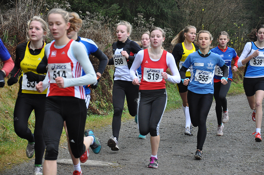 Westfaelische cross halver 17 11 2012 013 2026 04 04 132010 hjgy